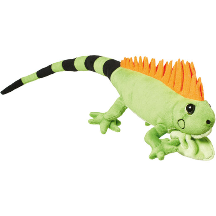 Iguaani kaisukas