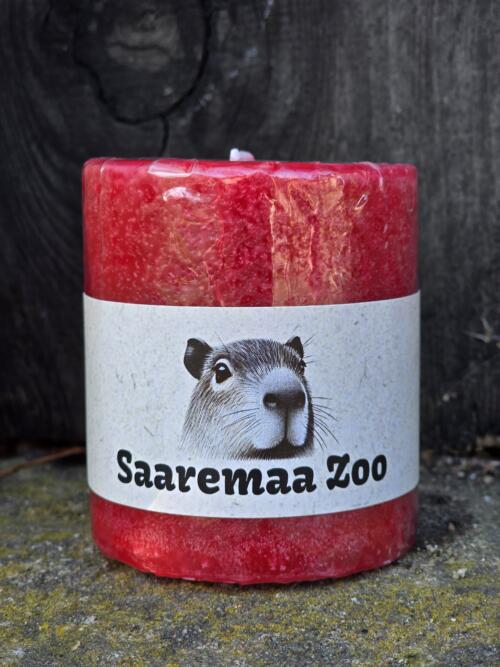 Saaremaa Zoo käsitöö küünal Memmemusi