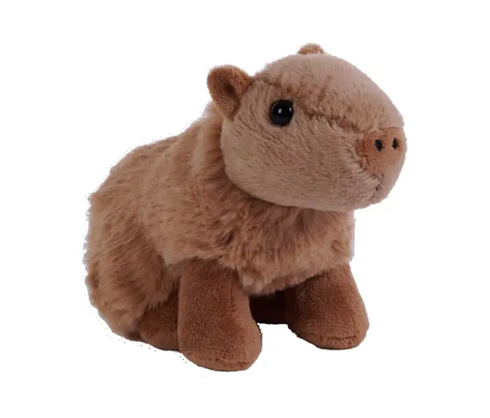 Väike kapibaara kaisukas