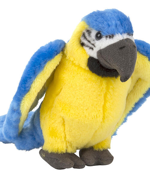Papagoi kaisukas